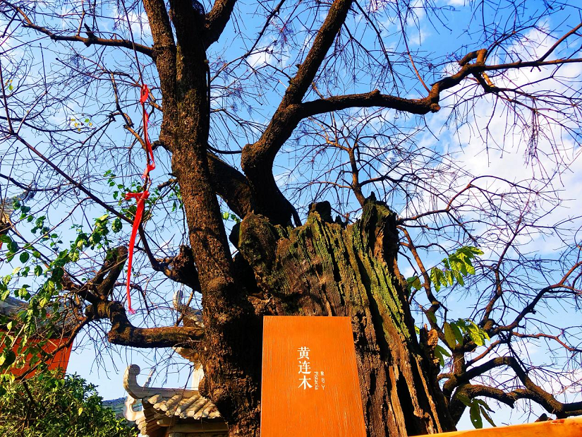 大石板古村：保護(hù)利用讓歷史文化“活”起來 ——全省城鄉(xiāng)建設(shè)歷史文化保護(hù)利用工作現(xiàn)場會在西昌大石板古村召開(圖3)