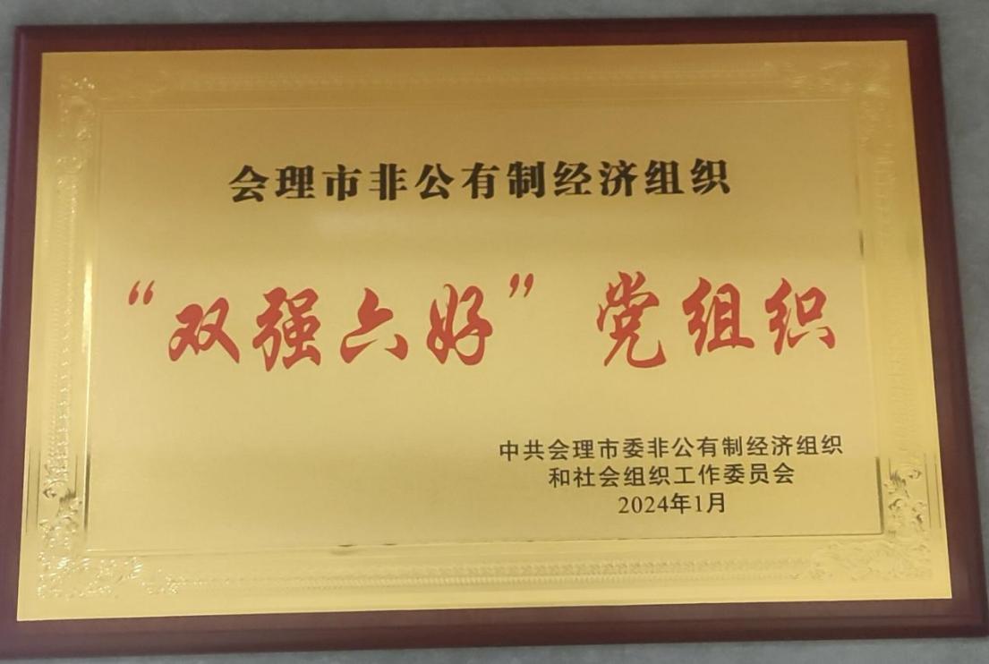喜訊！礦業(yè)總公司財(cái)通公司黨支部榮獲會(huì)理市“雙強(qiáng)六好”黨組織稱號(hào)
