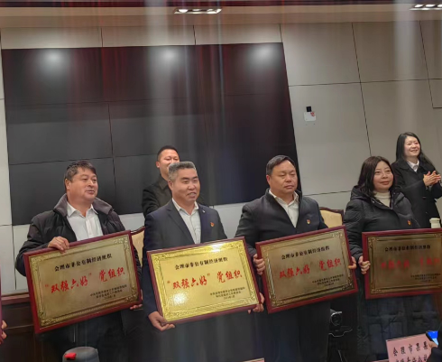 喜訊！礦業(yè)總公司財(cái)通公司黨支部榮獲會(huì)理市“雙強(qiáng)六好”黨組織稱號(hào)(圖2)