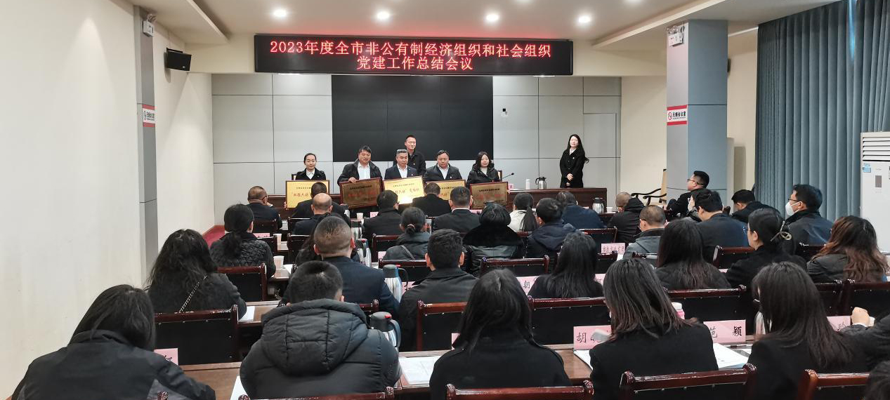 喜訊！礦業(yè)總公司財(cái)通公司黨支部榮獲會(huì)理市“雙強(qiáng)六好”黨組織稱號(hào)(圖3)