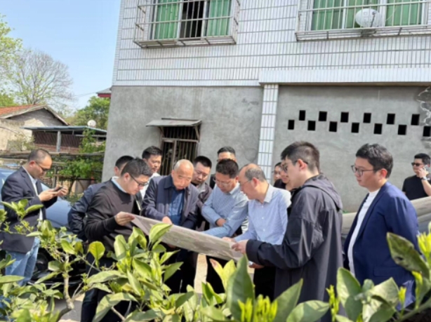 簡陽市委市政府全力推進葫蘆壩鄉(xiāng)村振興項目 (圖2)